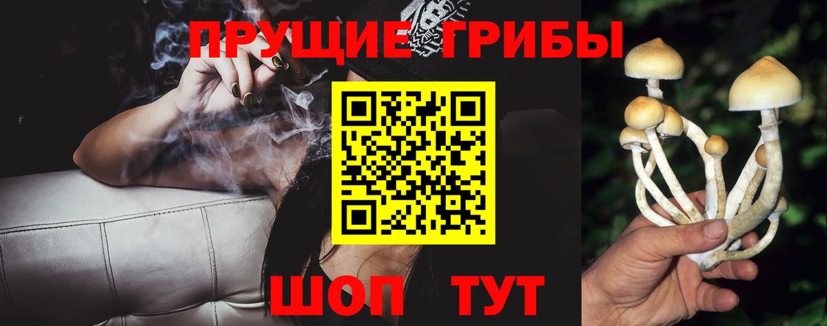 Малоярославец  Галлюциногенные грибы мицелий  Вход с VPN 